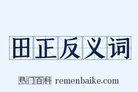 田正反义词是什么意思的图片
